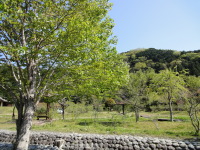 ������������������ 001.JPG