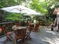 2013.8.20.21 034.JPG