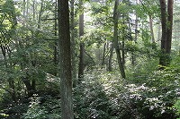 2014.6.25 26   安曇野 209 (2).jpg