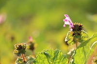 2014年3月7日８日 153.jpg