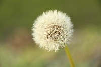 2014年3月7日８日 170.jpg