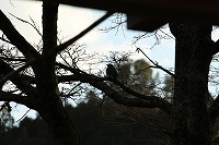 2014年3月7日８日 141.jpg