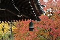 2015.11.13 京都 036.jpg