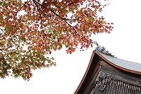 2015.11.13 京都 066.jpg